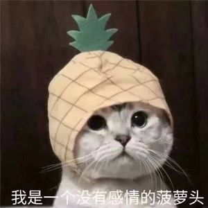 Meet your Posher, Zheng